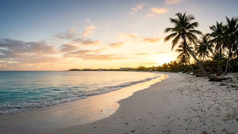 Long white curve of Cable Beach with palm trees at sunrise.